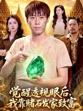 觉醒透视眼后我靠赌石发家致富