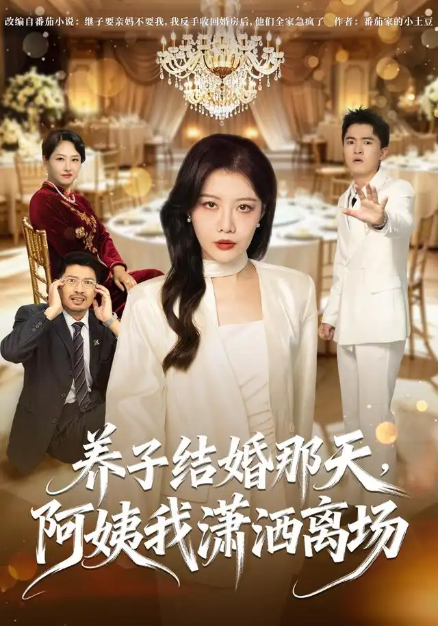 养子结婚那天阿姨我潇洒离场